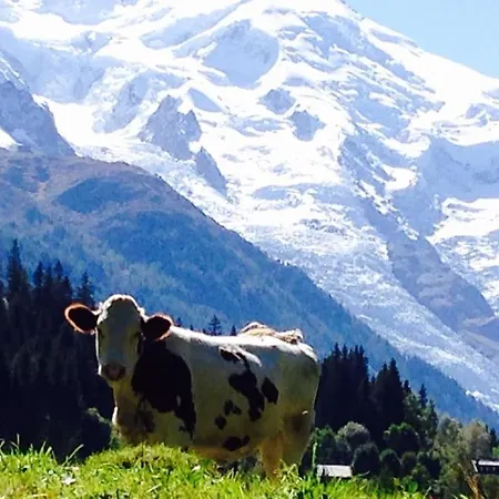 Chalet Large Peaceful For Mountain Adventures! Perfect For Flegere And Grand Montet Skiing Chamonix