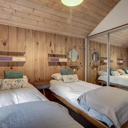 Large Peaceful For Mountain Adventures! Perfect For Flégère&grand Montet Skiing *