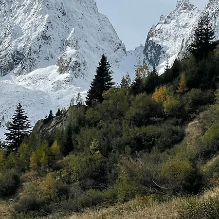 Large Peaceful For Mountain Adventures! Perfect For Flegere And Grand Montet Skiing * Chamonix
